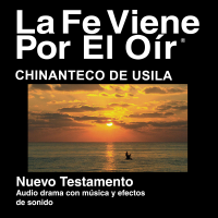 Chinanteco de Usila Biblia - Chinanteco de Usila Bible podcast