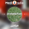 ميادين