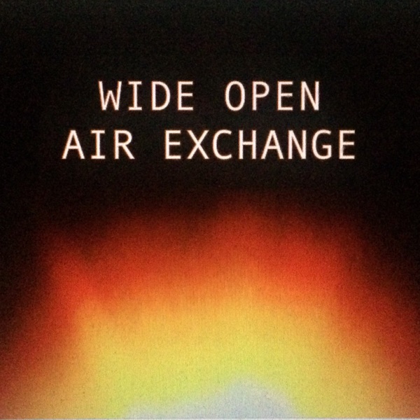 Artwork for Wide Open Air Exchange