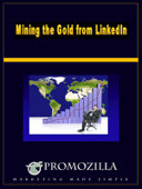 Mining the Gold from LinkedIn - Kim Deas