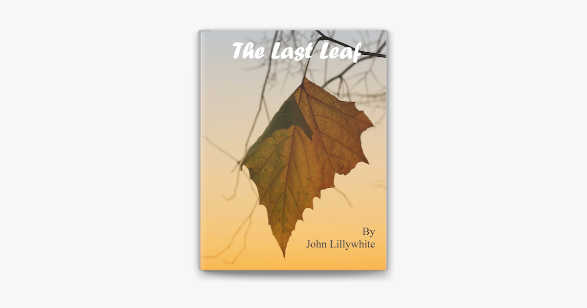 book review of the last leaf