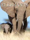 Elephants - Snapshot Picture Library