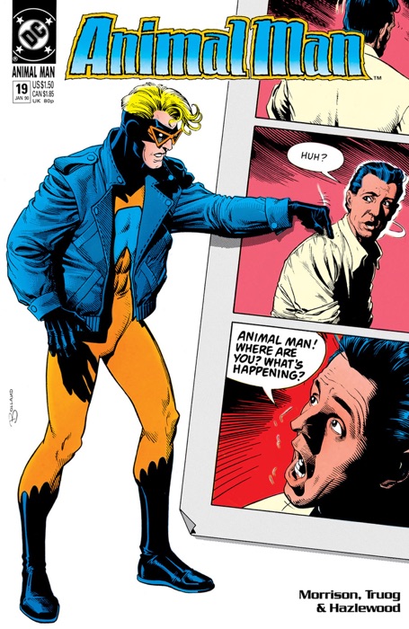 Animal Man (1988-1995) #19