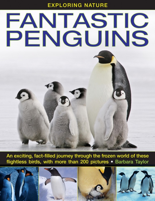 Fantastic Penguins