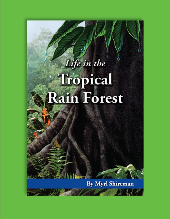 Life In the Tropical Rain Forest