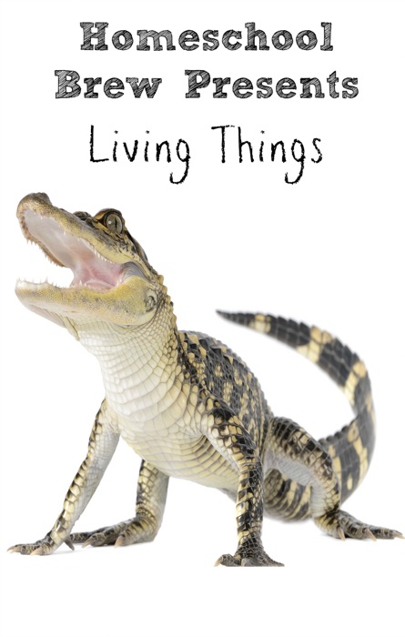Living Things (Fourth Grade Science Experiments)