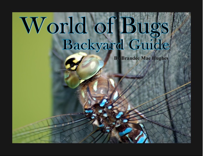 World of Bugs 2