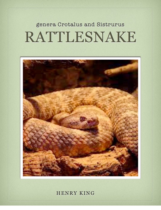 Rattlesnake