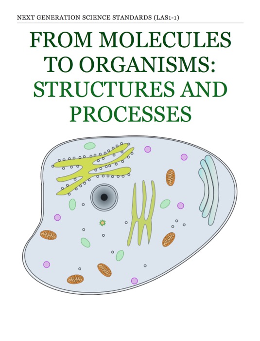 From Molecules to Organisms: Structures and Processes Workbook