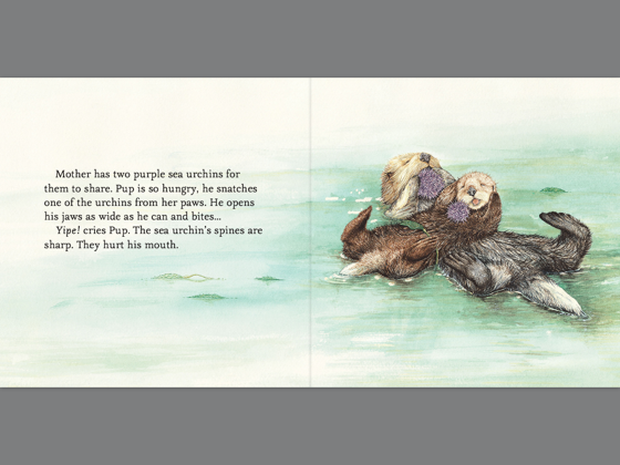 ‎Sea Otter Pup Read-Along on Apple Books