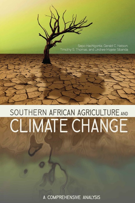 Southern African Agriculture and Climate Change