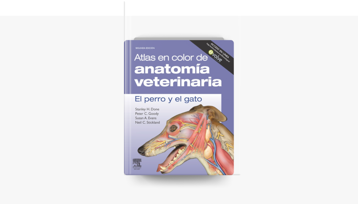 ‎atlas En Color De Anatomía Veterinaria El Perro Y Del Gato Incluye Evolve On Apple Books 2562