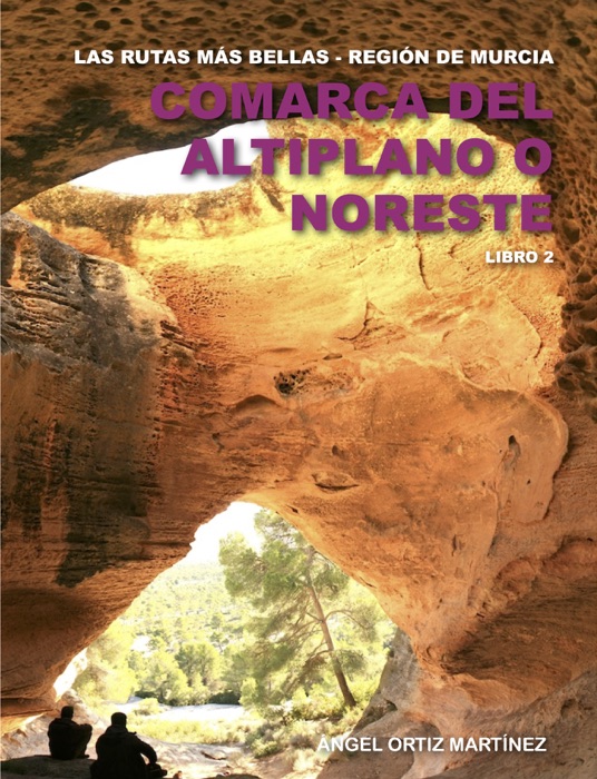 Comarca del Altiplano o Noreste. Libro 1