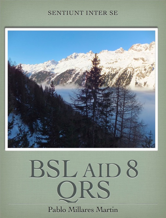 BSL Aid 8 QRS
