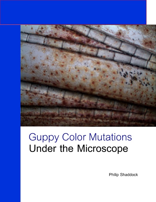 Guppy Color Mutations Under the Microscope