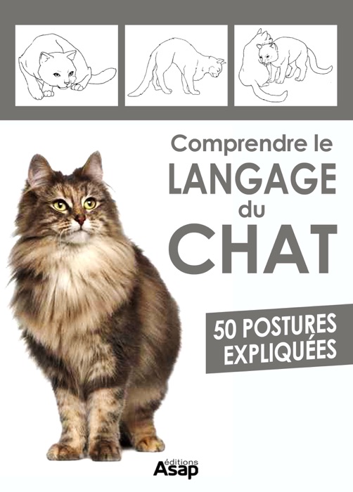 Comprendre le langage des chats