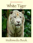 White Tiger - Winktolearn & Virtual GS