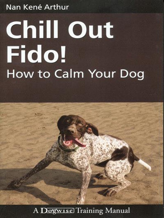 Chill Out Fido!