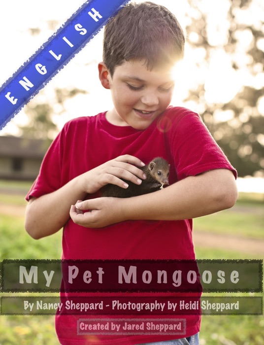 My Pet Mongoose