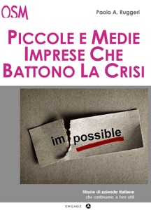 Piccole e medie imprese che battono la crisi Book Cover