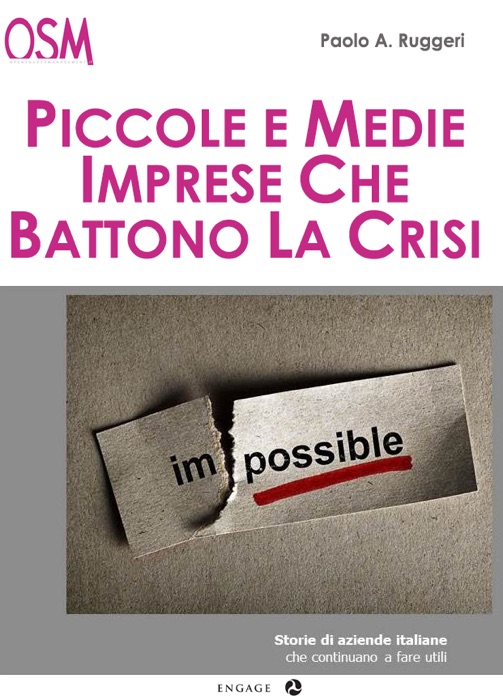 Piccole e medie imprese che battono la crisi