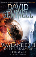 David Gemmell - Waylander II artwork