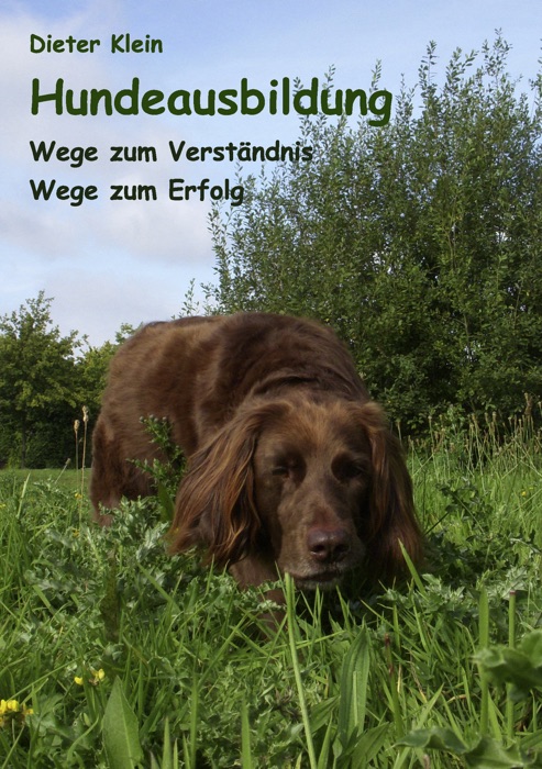 Hundeausbildung