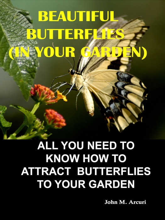 Beautiful Butterflies (In Your Garden)