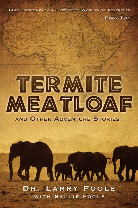 TERMITE MEATLOAF and Other Adventure Stories