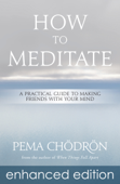 How to Meditate - Pema Chödrön