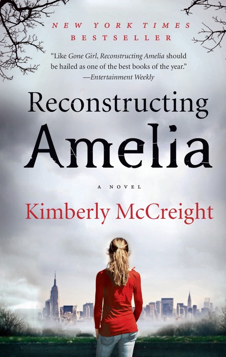 Reconstructing Amelia