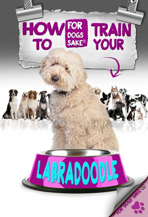 How to Train Your Labradoodle