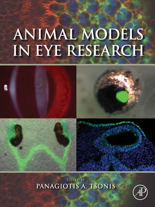 Animal Models in Eye Research