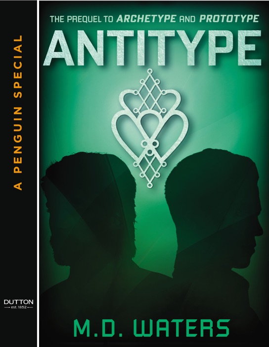 Antitype
