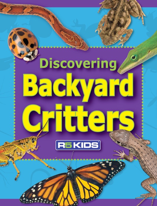 Discovering Backyard Critters