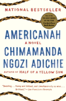 Chimamanda Ngozi Adichie - Americanah artwork