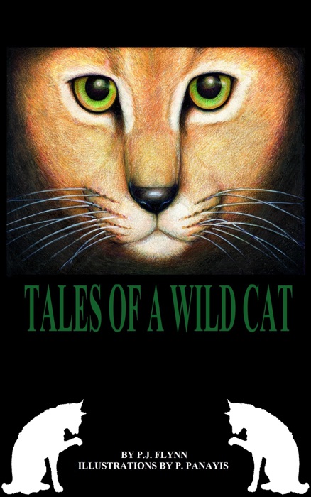 Tales of a Wild Cat