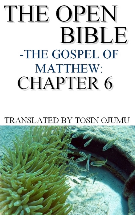 The Open Bible - The Gospel of Matthew: Chapter 6