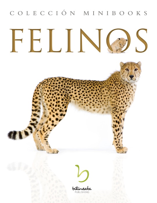 Felinos