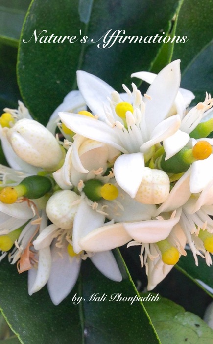 Nature's Affirmations