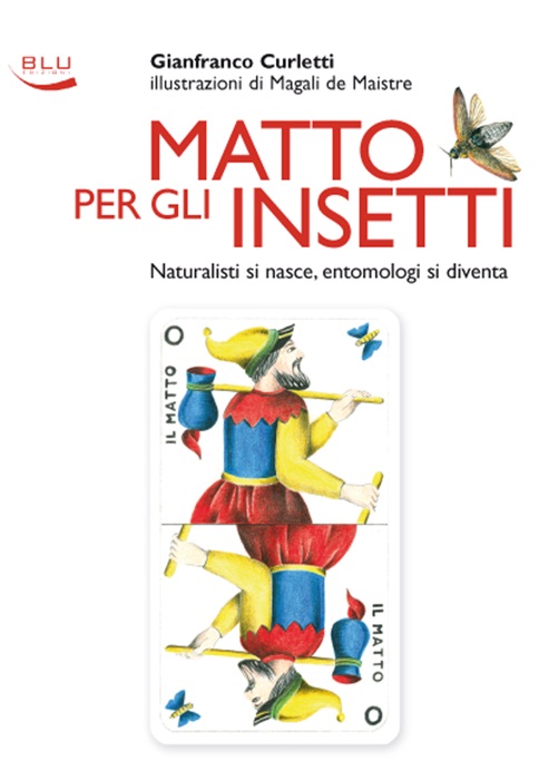 Matto Per Gli Insetti