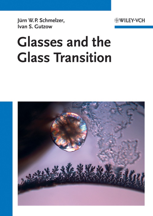 Glasses and the Glass Transition