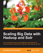 Scaling Big Data with Hadoop and Solr - Hrishikesh Karambelkar