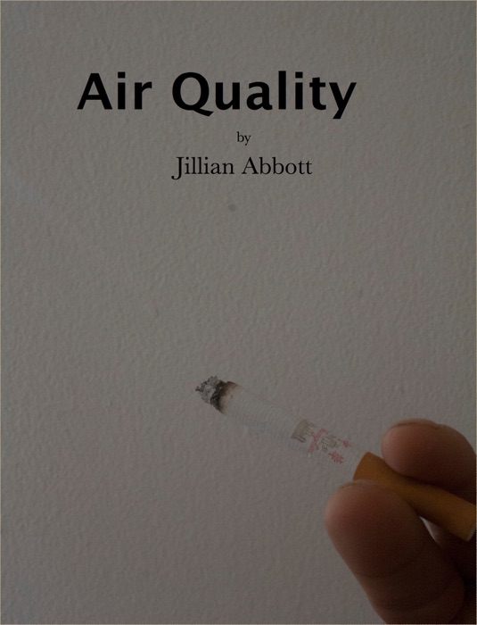 Air Quality