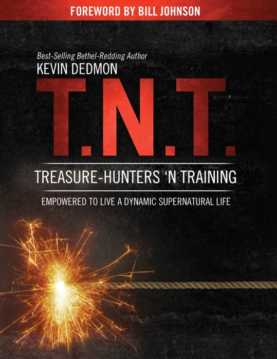T.N.T.: Treasure-Hunters 'n Training