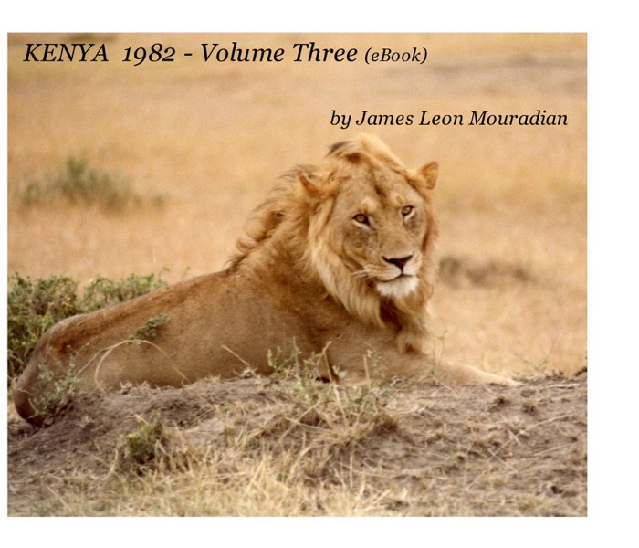 KENYA 1982 - Volume Three (eBook)