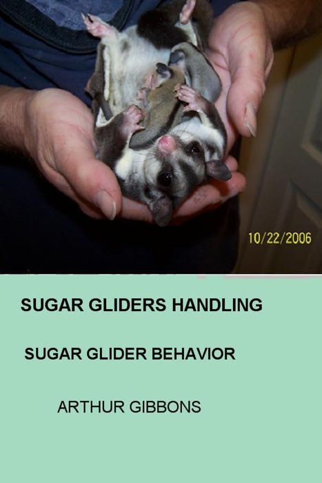 Sugar Gliders Handling