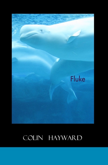 Fluke