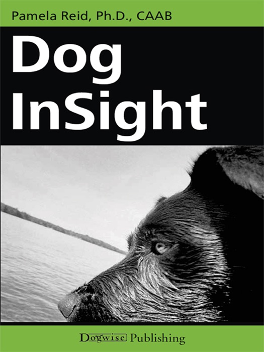 Dog Insight