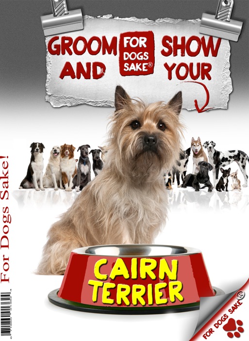 Groom and Show Your Cairn Terrier